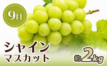 【6・7・9月 全3回】紀州和歌山産旬のフルーツセット（スイカ・バレンシア・シャイン）【UT93】