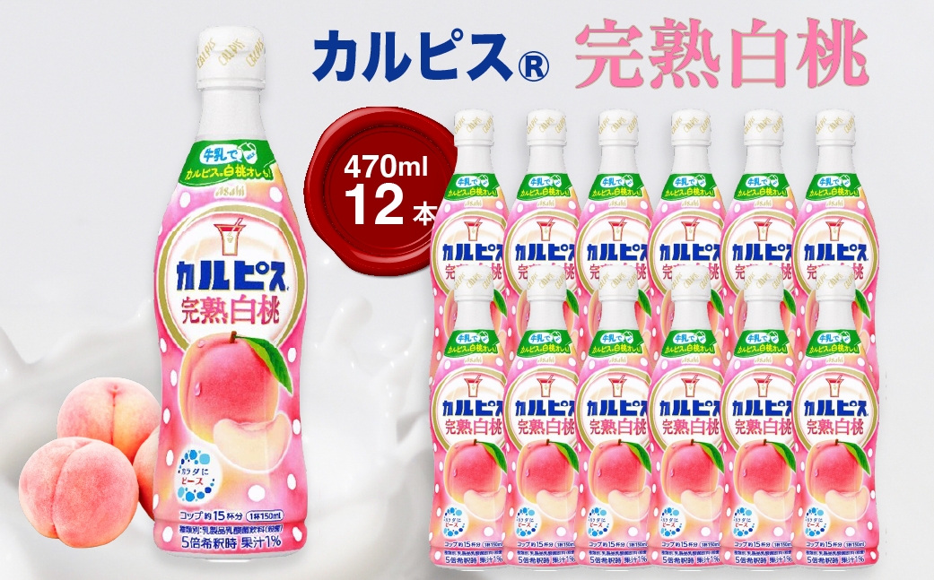 
                  「カルピス(R) 完熟白桃」プラスチックボトル 470ml×12本 ｜ ドリンク ペットボトル ケース買い 飲み物 飲料 清涼飲料 ソフトドリンク 飲料セット ドリンクセット 家庭用 飲み物のストック 買い置き まとめ買い ケースで届く 群馬県 館林市
                