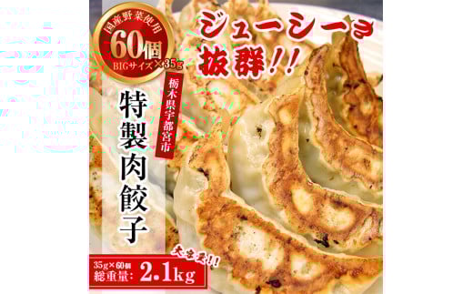 テレビで紹介！餃子専門店 宇都宮 悟空 特製肉餃子60個入 ❘ 餃子 冷凍 ぎょうざ ギョーザ 大容量 肉たっぷり 肉多め 大きい 人気 名物 行列 国産野菜 国産豚肉 ジューシー スタミナ パリパリ もちもち グルメ おかず おつまみ 栃木県 簡単 小分け 冷凍食品 ※離島への配送不可