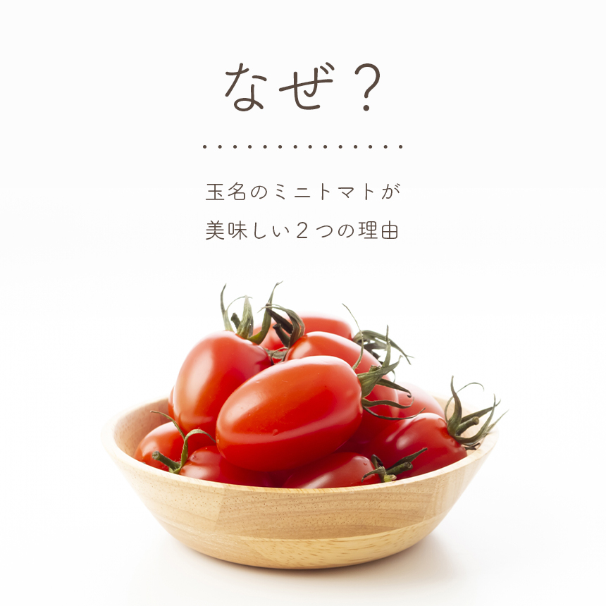 【定期5回】『大家ファーム』のミニトマト アイコ 1.2kg×5回