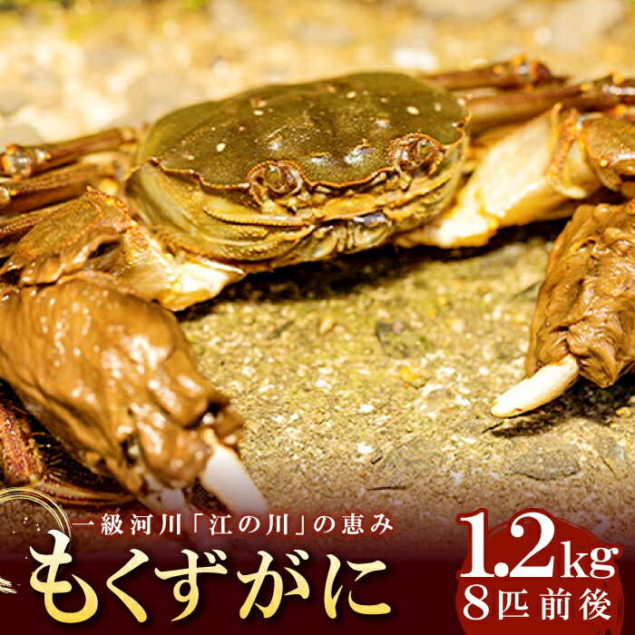 【ふるさと納税】 先行予約 もくずがに 約1.2kg 8匹前後 オスメス無選別 カニ 塩ゆで みそ汁 寿司 すし 煮物 釜めし 冷蔵 特産品 お取り寄せ グルメ