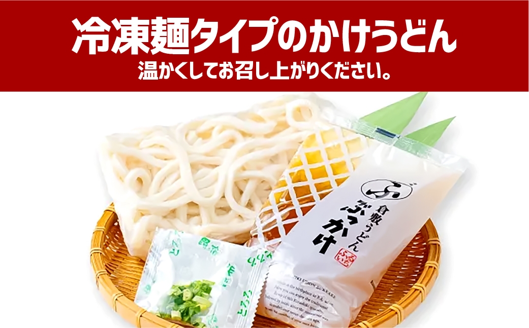 かけうどん だし凍らし麺 12人前