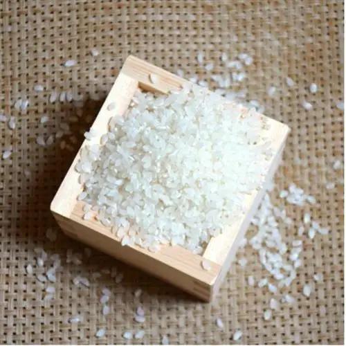 栽培期間中農薬・化学肥料不使用　こしひかり　白米 5kg×1袋(5kg)【1735134】