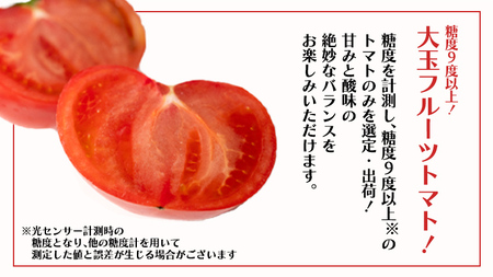 【 野菜ソムリエ 厳選 】 旬 の フルーツ定期便 ( フルーツトマト スタート ) 先行予約 [AF095ci]