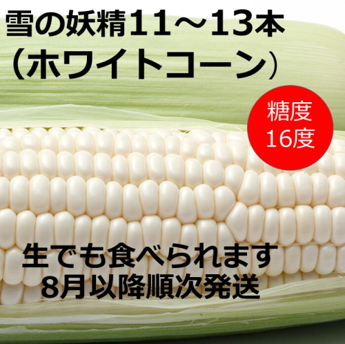 訳あり 北海道 雪の妖精（ホワイトコーン）11～13本入り 5キロ とうもろこし トウモロコシ 数量限定 期間限定 甘い 朝採り 5kg
