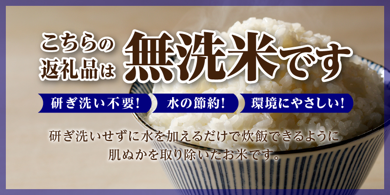 【新米予約】【定期便(10kg×12カ月)】【無洗米】令和6年 北海道産ななつぼし【滝川市産】 | 米 お米 精米 ブランド米 コメ ごはん ご飯 白米 無洗米 ななつぼし 特A お米マイスター北海道