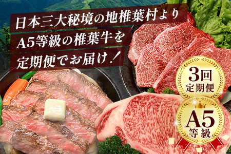 【 定期便 全3回 】 月に1回のお楽しみ！ 椎葉牛ステーキ定期便 総重量 1,080g 【 日本三大秘境 椎葉村 育ちの黒毛和牛 】[ 牛肉 ステーキ 定期便 定期配送 肉 牛ヒレ ヒレ肉 ロース 