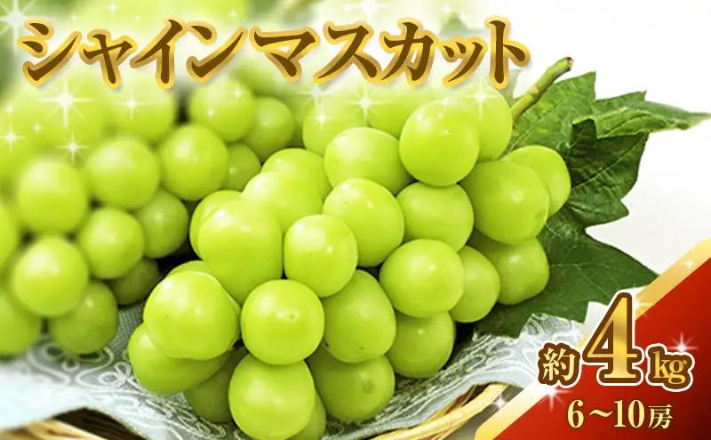 シャインマスカット ぶどう 皮ごと 岡山県産 シャインマスカット【約4kg】【先行予約】