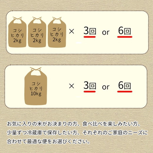 【9月より新米】【定期便】米 京都丹波米 きぬひかり5kg×4回 計20kg◇◆◇ 4回定期便 米 白米 5kg 4ヶ月※精米したてをお届け 米・食味鑑定士厳選 キヌヒカリ 京都丹波産 ※北海道・沖縄