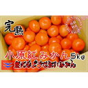 【ふるさと納税】小原紅早生みかん 香川県産 約5kg ( S ～ Lサイズ ) ｜ みかん | フルーツ 果物 くだもの 食品 人気 おすすめ 送料無料