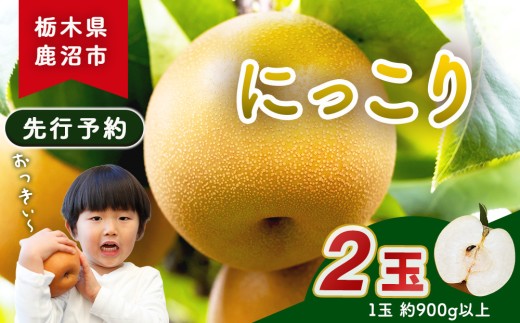 【先行予約】梨(にっこり) 2玉入り×1箱 (内容量1玉900g以上) ※2026年10月上旬～11月下旬頃に順次発送予定