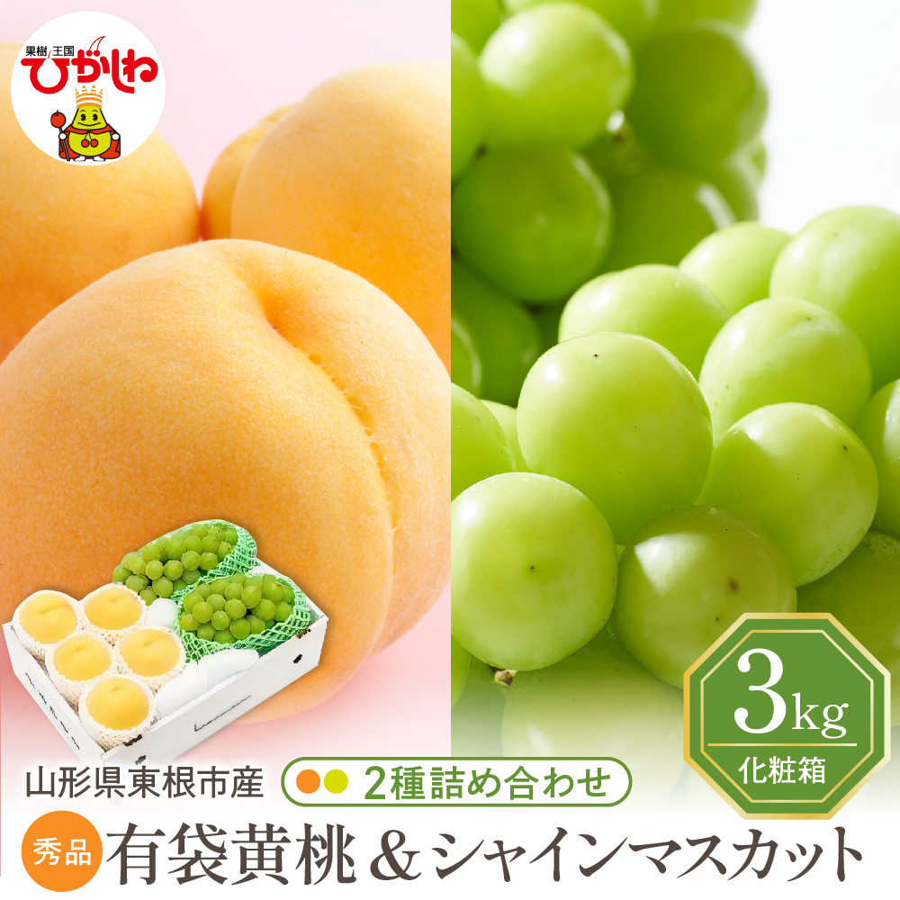 【2025年 先行予約】 東根市産 有袋黄桃【品種おまかせ】秀品＆シャインマスカット詰め合わせ3kg 山形県 東根市 　hi027-165-2