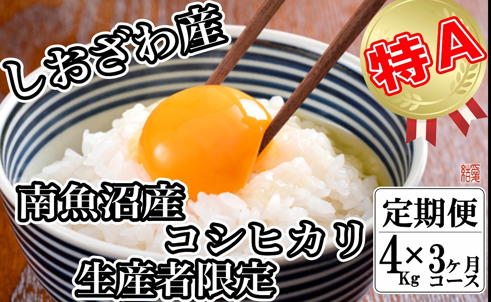 【令和7年産】【定期便／４kg×3ヶ月】生産者限定 契約栽培 南魚沼しおざわ産コシヒカリ【2025年10月上旬より順次発送予定】