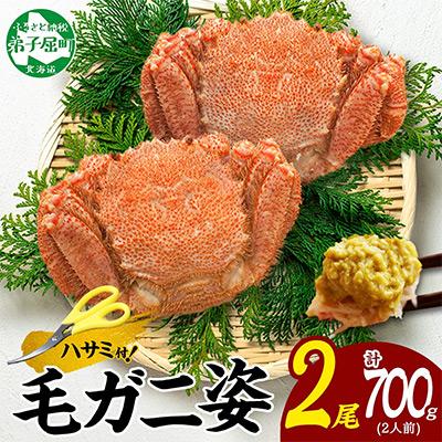 ふるさと納税 弟子屈町 毛蟹 姿 2尾 計700g前後 ボイル 食べ方ガイド・専用ハサミ付 北海道 弟子屈町 3334