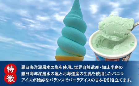 羅臼海洋深層水使用! 海のバニラアイス・羅臼昆布バニラアイス 12個セット  アイスクリーム スイーツ デザート 夏 北海道 羅臼町 知床 生産者 支援 応援