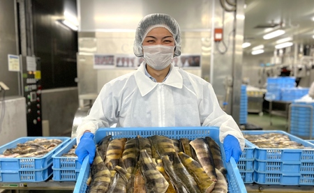 【訳アリ】無添加 塩 ホッケ 1kg（5枚）