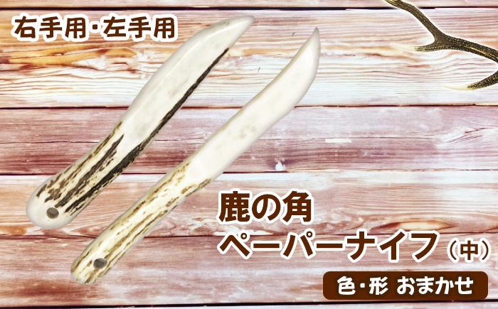 
＜色、形、大きさおまかせ＞ペーパーナイフ （中）【竜鹿】 / 本物 加工 文房具 鹿
