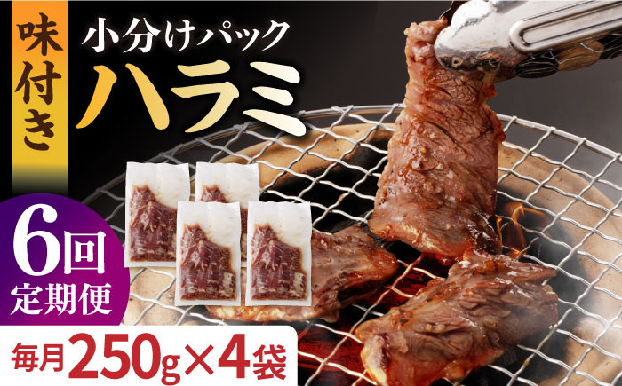 
            【全6回定期便】ハラミ【塩だれ】九州産和牛ハラミ 1kg（ 250g×4袋） 長与町/岩永ホルモン [EAX094] 国産 牛肉 ハラミ 牛ハラミ はらみ 小分け 味付き サガリ 焼肉 焼き肉 塩 しお 冷凍 焼肉 焼き肉 やきにく 九州 定期便 ていきびん 定期
          