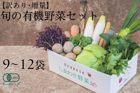 【毎月定期便】【フードロス対応・規格外野菜利用】有機野菜　シェフLセット　オーガニック野菜全6回 6870