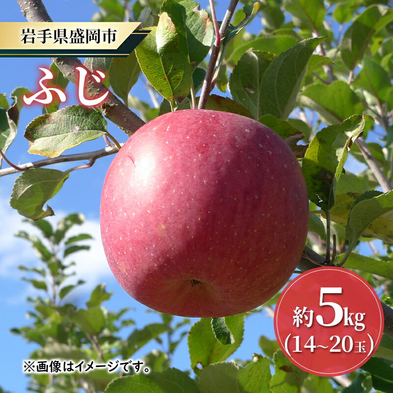 【ふるさと納税】【大櫻農園】ふじ 盛岡 完熟 りんご 約5kg（14～20玉）　　お届け：2025年11月中旬～2025年12月下旬