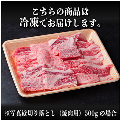 飛騨牛　訳あり切り落とし焼肉　500g　【配送不可地域：離島】