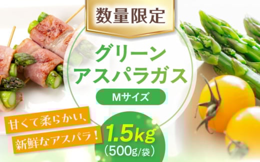 【5月中旬以降順次発送】【ニセコ町産】朝どりアスパラ Mサイズ1.5kg 《喜茂別町》【ニセコビュープラザ直売会協同組合】 アスパラ アスパラガス グリーンアスパラ 冷蔵 冷蔵配送 野菜 春野菜 [AJAH016]