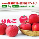 【ふるさと納税】先行予約 長野市産無袋栽培の信州産サンふじ5kg（訳あり）2024年発送　 果物 フルーツ デザート 食後 おやつ 果汁豊富 甘み 酸味 バランス 歯ごたえ 長野県産 信州のリンゴ 　お届け：2024年11月上旬～12月上旬