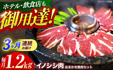 【3回定期便】猪肉おまかせ焼肉セット 1.2kg (ロース・モモ・バラ)[OAJ034]猪肉ジビエ猪肉ジビエ猪肉ジビエ猪肉ジビエ猪肉ジビエ猪肉ジビエ