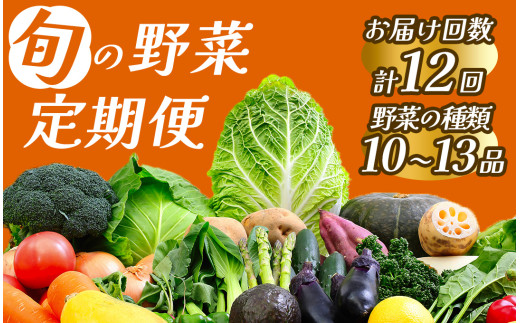 【定期便】 旬の野菜 1年間の定期便　【 野菜 やさい きのこ 山菜 セット 定期 旬 定期便 人気 詰め合わせ 12ヵ月 おまかせ 新鮮  】　<BC-64>