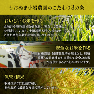 無洗米 定期便 6ヶ月 コシヒカリ 5kg 米 白米 お米 魚沼産コシヒカリ 米食味鑑定士 新潟米 新潟 魚沼市 定期 6回