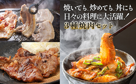 宮崎県産 豚肉 焼肉 3種食べ比べ 定期便【全3回】合計1.8kg (600g×3回) 真空小分けパック (肩ロース・バラ・豚トロ) 国産 送料無料