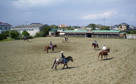 乗馬 千葉 SUNSHINE STABLES 30,000円分 利用補助券 体験 チケット レストラン お食事券 食事券 食事 アクティビティ アウトドア スポーツ ギフト券 券 馬 体験チケット 旅