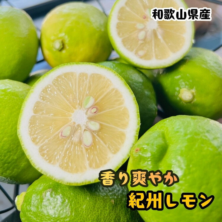 【ふるさと納税】【選べる内容量】農家直送 紀州 レモン 約1～3kg | レモン 檸檬 柑橘 フルーツ 果物 くだもの 食品 人気 おすすめ 送料無料