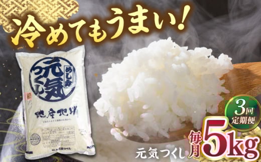 【全3回定期便】福岡産ブランド米・元気つくし5kg 桂川町/南国フルーツ株式会社 [ADBW030]