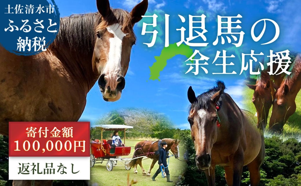 
            引退馬 余生支援 100,000円コース 返礼品なし 養老馬 競走馬 引退競走馬 馬支援 競馬 馬 うま ウマ 馬支援 動物 あしずりダディー牧場 高知県 土佐清水市【R01532】
          