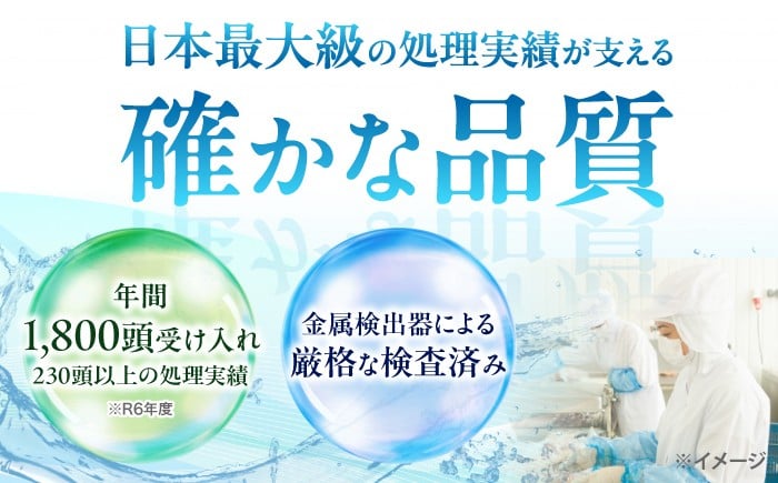 ひき肉 肉 イノシシ ジビエ いのしし ハンバーグ 低カロリー 冷凍