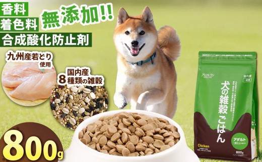 アニマル・ワン 雑穀ごはん  800g×1袋 | 愛犬 犬 ドッグフード 雑穀 国産 無添加 プレミアム 熊本県 玉名市