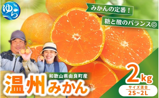温州みかん 2kg 2S～2Lサイズ混合 12月発送 / 温州 ミカン 農家直送　完熟 密柑 くだもの  果実  柑橘 果物 フルーツ 和歌山県 由良町 人気 おすすめ 産地直送 ※2026年12月上旬頃～12月下旬頃に順次発送予定【nktn004-r-2-dec】