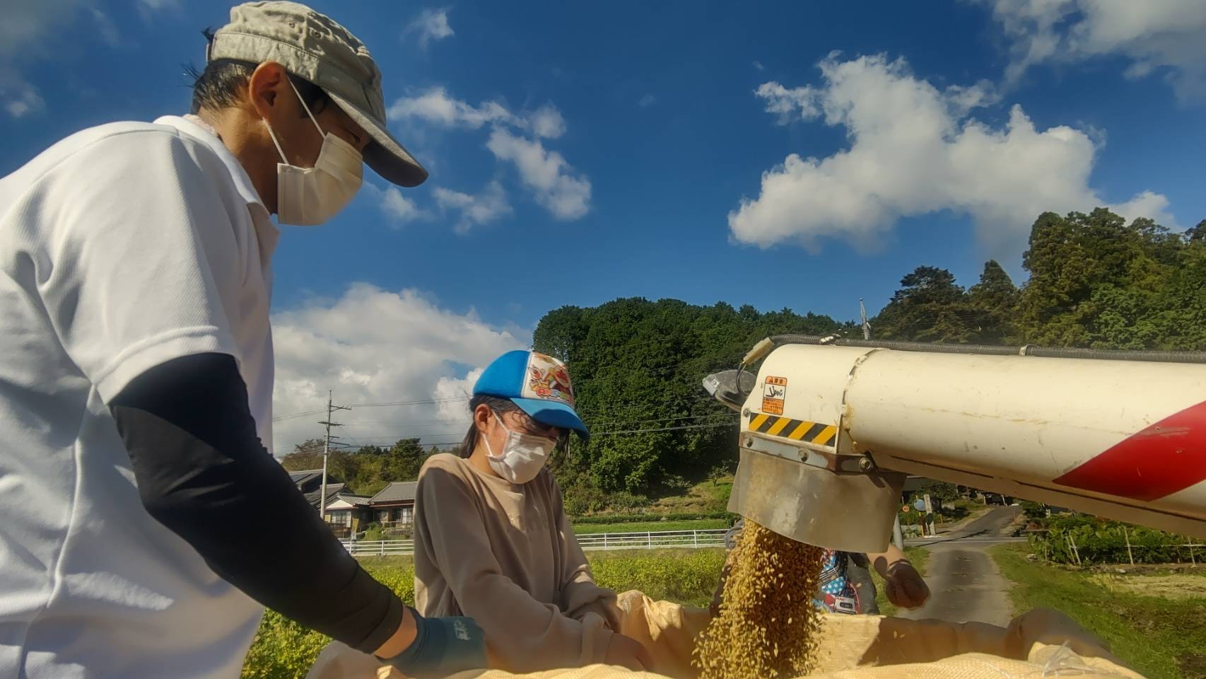 地元の「あおやぎ青年隊」が育てたお米を100%使用しています。