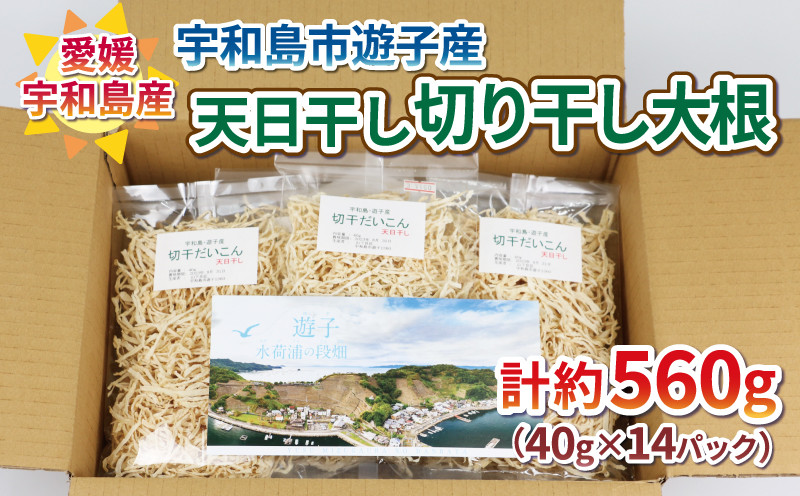 
先行予約 切り干し大根 小分け 560g NPO法人段畑を守ろう会 12月以降発送 切干大根 天日干し 宇和島市遊子産 パック 大根 野菜 根菜 おかず 簡単 料理 農家直送 産地直送 数量限定 国産 愛媛 宇和島 F010-051004
