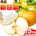 【ふるさと納税】【秀品(赤秀)】先行予約 新甘泉 約5kg (8~16玉) 2L~6Lサイズ《2025年8月下旬-10月上旬頃出荷》鳥取県 八頭町 梨 なし 果物 フルーツ 特産品 秀品 赤秀 贈答用 先行予約 送料無料 果汁 デザート