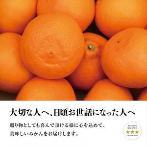 星乃みかん園の星乃せとか(3.5kg)【E45-43】【1339332】