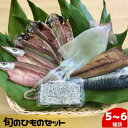 【ふるさと納税】 旬のひものセット5～6種 伝統200年の味 鈴伝商店　魚貝類・干物　お届け：ご入金後、1～2週間後に発送