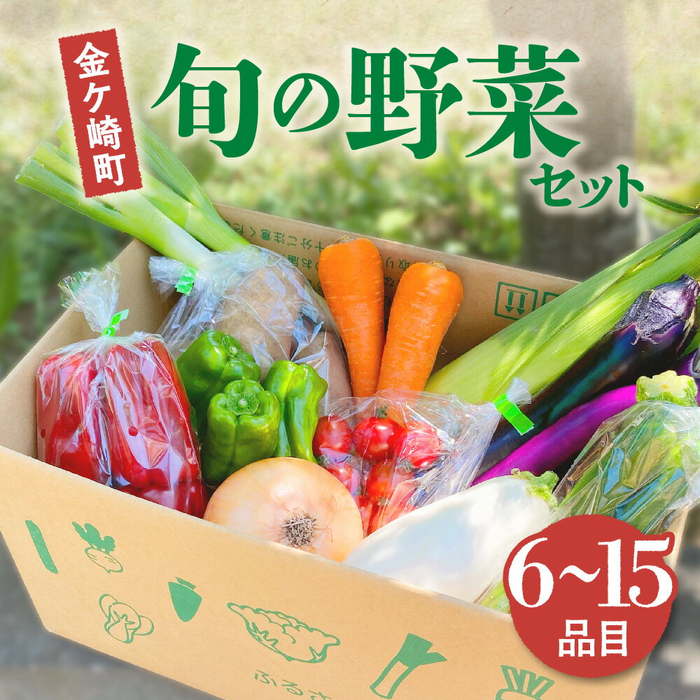 【ふるさと納税】野菜セット お試し ( 6品 5,000 円 ) 詰め合わせ おまかせ 6〜15品 たっぷり BBQ 満喫 季節 旬 春野菜 夏野菜 秋野菜 新鮮 野菜生活 玉ねぎ グリーン サラダ 中華 国産 野菜 レシピ 一人暮らし 岩手県 金ケ崎町