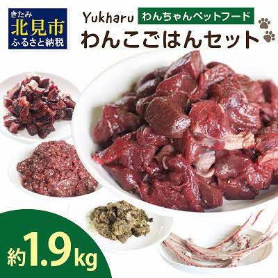 ふるさと納税 北見市 yukharuわんこごはんセット【わんちゃんペットフード】