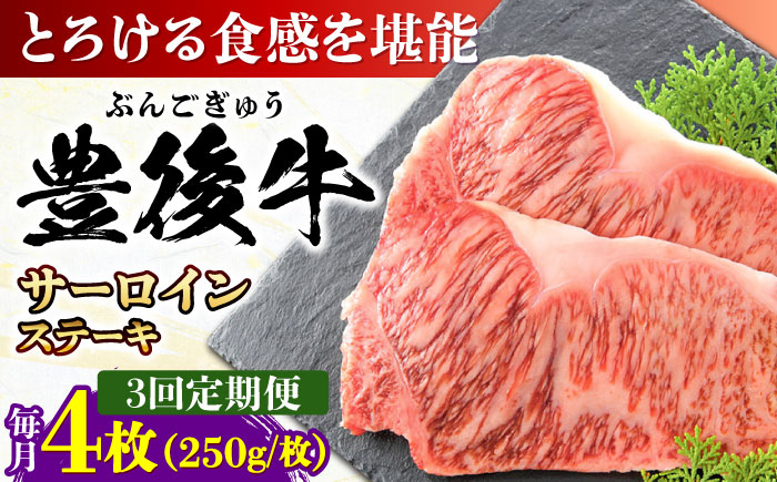 
            【全3回定期便】おおいた豊後牛 サーロインステーキ 1kg (250g×4枚) 日田市 / 株式会社MEAT PLUS 牛肉 おおいた豊後牛 おおいた 豊後牛 黒毛和牛 サーロイン サーロインステーキ ステーキ 国産 和牛 [AREI059]
          