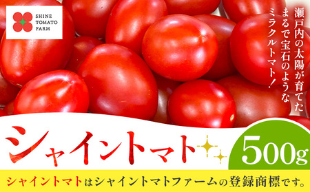 シャイントマト 500g シャイントマトファーム トマト