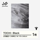 【ふるさと納税】 【山形緞通×小林幹也】TOCHI - Black (M) [oc-lmtcm-black]