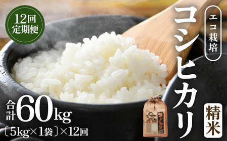 【先行予約】【令和8年産 新米】エコ栽培コシヒカリ  白米5kg×12回 計60kg ／ 鮮度抜群 福井県産 こしひかり ご飯 新鮮 白米 ※2026年10月上旬以降順次発送 [aw063-k005]