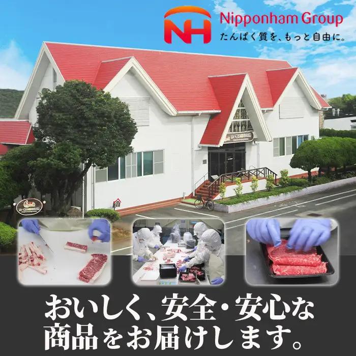 宮崎牛ロースステーキ(計600g・150g×4枚)黒毛和牛 冷凍 国産 【P-19】【南日本フレッシュフード株式会社(日本ハムマーケティング株式会社)】